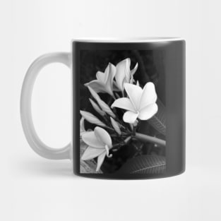 Plumeria in Black And White Mug